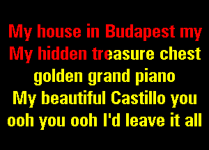 My house in Budapest my
My hidden treasure chest
golden grand piano
My beautiful Castillo you
ooh you ooh I'd leave it all