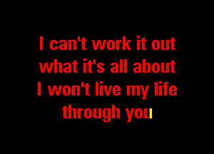 I can't work it out
what it's all about

I won't live my life
through you