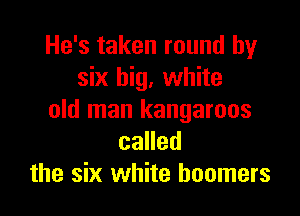 He's taken round by
six big, white

old man kangaroos
called
the six white boomers