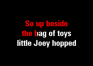 So up beside

the bag of toys
little Joey hopped