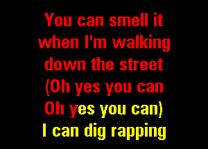 You can smell it
when I'm walking
down the street

(Oh yes you can
Oh yes you can)
I can dig rapping