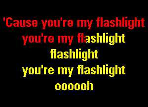 'Cause you're my flashlight
you're my flashlight
flashlight
you're my flashlight
oooooh