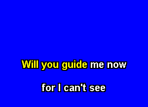 Will you guide me now

for I can't see