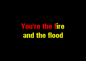 You're the fire

and the flood