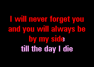 I will never forget you
and you will always be

by my side
till the day I die