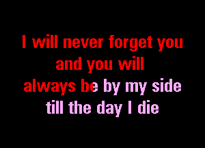 I will never forget you
and you will

always be by my side
till the day I die