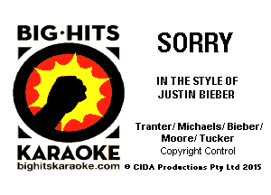 ElG-HITg SORRY

IN THE STYLE 0F
JUSTIN BIEBER

A Tranter! Michaels! Bieber!
Moore! Tucker

KARAO KE Conyright Control

bighitskaraokecom a cum Productions Pq Ltd 2015