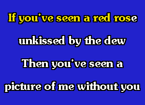 If you've seen a red rose
unkissed by the dew
Then you've seen a

picture of me without you