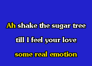 Ah shake the sugar tree
till I feel your love

some real emotion