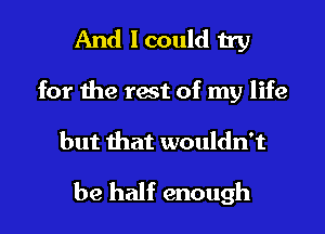 And I could try

for the rest of my life
but that wouldn't

be half enough