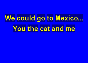 We could go to Mexico...

You the cat and me