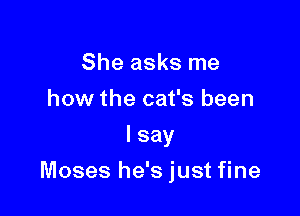 She asks me
how the cat's been
lsay

Moses he's just fine