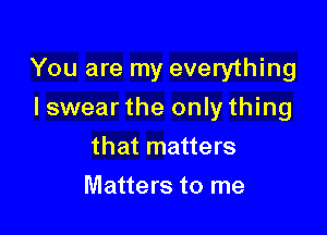 You are my everything

I swear the only thing
that matters
Matters to me