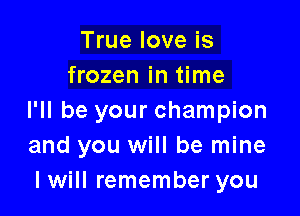 True love is
frozen in time

I'll be your champion
and you will be mine
I will remember you