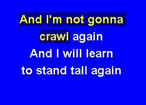And I'm not gonna
crawl again

And I will learn
to stand tall again