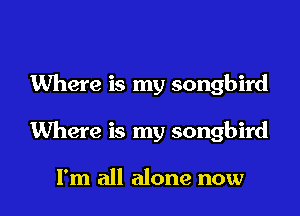 Where is my songbird

Where is my songbird

I'm all alone now