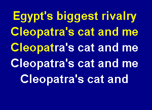 Egypt's biggest rivalry
Cleopatra's cat and me
Cleopatra's cat and me
Cleopatra's cat and me
Cleopatra's cat and