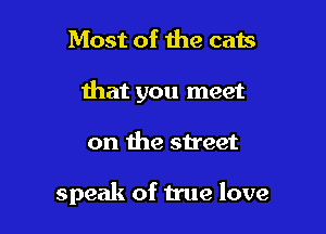 Most of the cats

that you meet

on the street

speak of true love