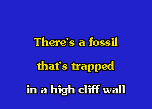 There's a fossil

that's trapped

in a high cliff wall