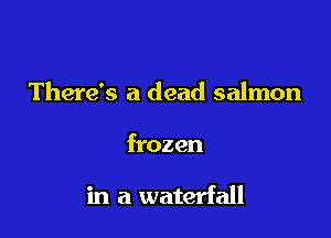There's a dead salmon

frozen

in a waterfall