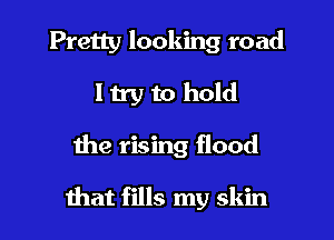 Pretty looking road
Itry to hold

the rising flood

mat fills my skin