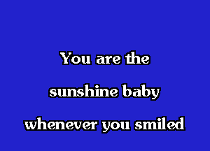 You are 1119

sunshine baby

whenever you smiled