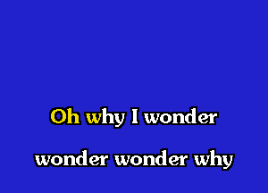 Oh why I wonder

wonder wonder why