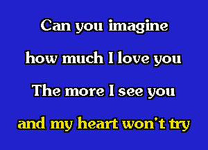 Can you imagine
how much I love you
The more I see you

and my heart won't try