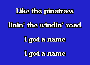 Like the pinetrees
linin' the windin' road
I got a name

I got a name