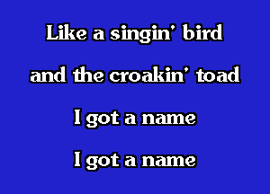 Like a singin' bird

and the croakin' toad
I got a name

I got a name