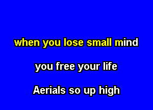 when you lose small mind

you free your life

Aerials so up high