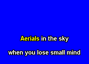 Aerials in the sky

when you lose small mind