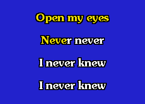 Open my eyes

Never never
1 never knew

I never knew
