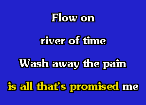 Flow on
river of time
Wash away the pain

is all that's promised me