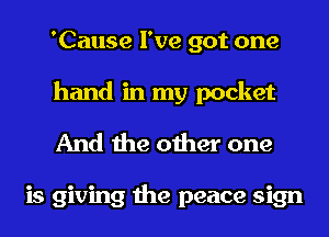 'Cause I've got one
hand in my pocket

And the other one

is giving the peace sign