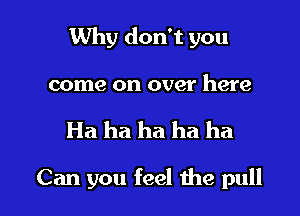 Why don't you
come on over here

Ha ha ha ha ha

Can you feel we pull
