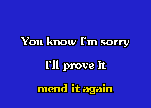 You know I'm sorry

I'll prove it

mend it again