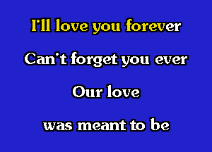 I'll love you forever

Can't forget you ever

Our love

was meant to be
