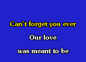 Can't forget you ever

Our love

was meant to be