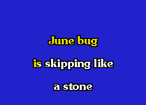 June bug

is skipping like

a stone