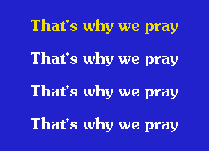 That's why we pray
That's why we pray

That's why we pray

That's why we pray I