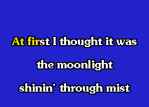 At first I thought it was
the moonlight

shinin' through mist