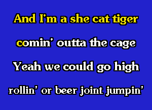 And I'm a she cat tiger

comin' outta the cage

Yeah we could 90 high

rollin' or beer joint jumpin'