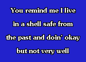You remind me I live
in a shell safe from
the past and doin' okay

but not very well