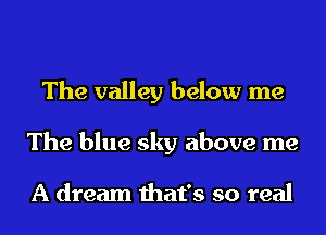 The valley below me
The blue sky above me

A dream that's so real