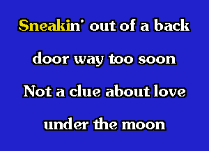 Sneakin' out of a back
door way too soon
Not a clue about love

under the moon
