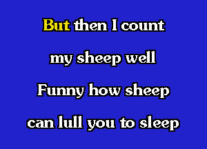 But then 1 count
my sheep well

Funny how sheep

can lull you to sleep