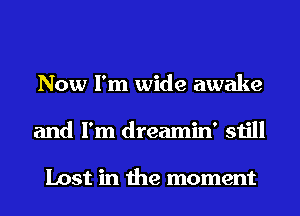 Now I'm wide awake
and I'm dreamin' still

Lost in the moment