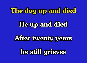 The dog up and died
He up and died

After twenty years

he still grieves l