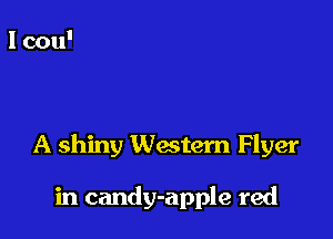 A shiny Western Flyer

in candy-apple red